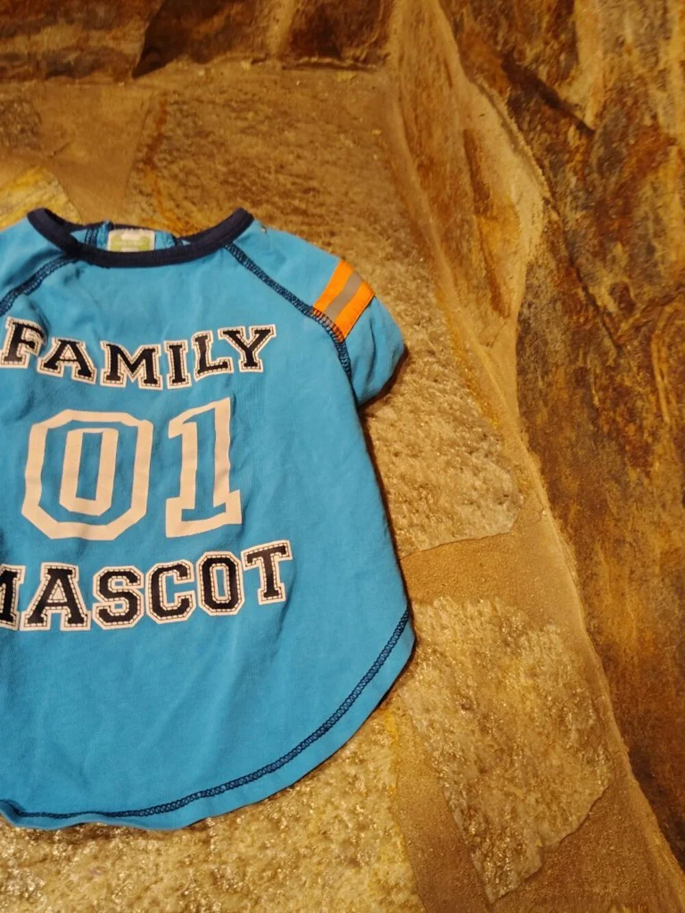 Wag-a-tude Dog Shirt Size Medium Family 01 Mascot Athletic Style Pet Cat Sporty